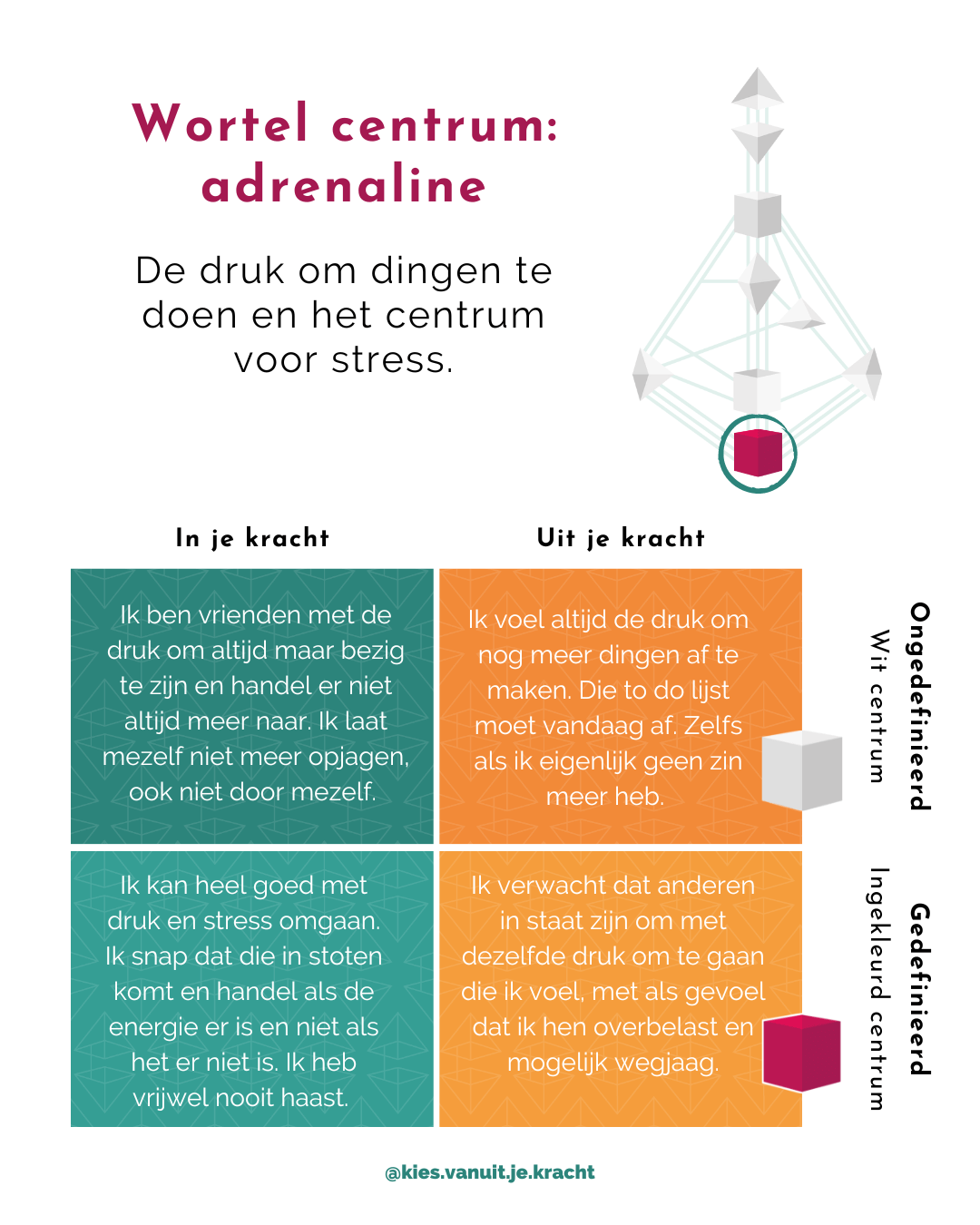 Stap 4 - Wortel centrum - Start met HD